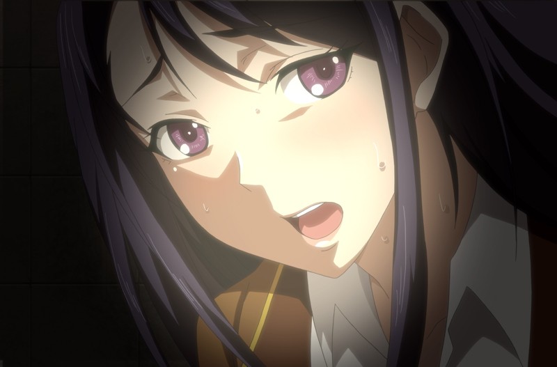 OVA 受胎島 #1 『どうしてアンタみたいなブサ男に種付けされなきゃいけないのよ!?』 画像6