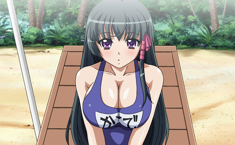 ビーチクビーチ ~南国乳辱撮影会~ 画像3