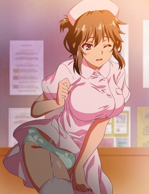 ボクと彼女(ナース)の研修日誌 THE ANIMATION 画像1