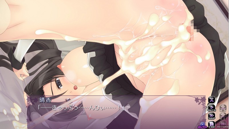 ツゴウノイイ家族~Iカップいいなり兄嫁未亡人『晴香』~2 画像4