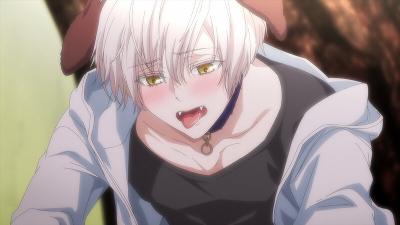 森のくまさん、冬眠中。【プレミアム版】(1) 画像3