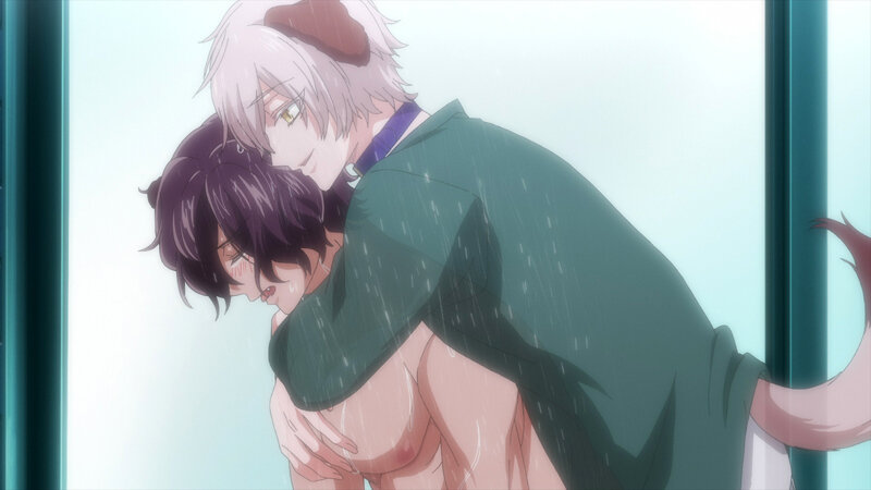 森のくまさん、冬眠中。【プレミアム版】 画像6