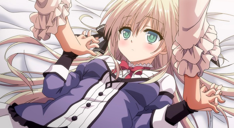 オトメ*ドメイン THE ANIMATION 画像10