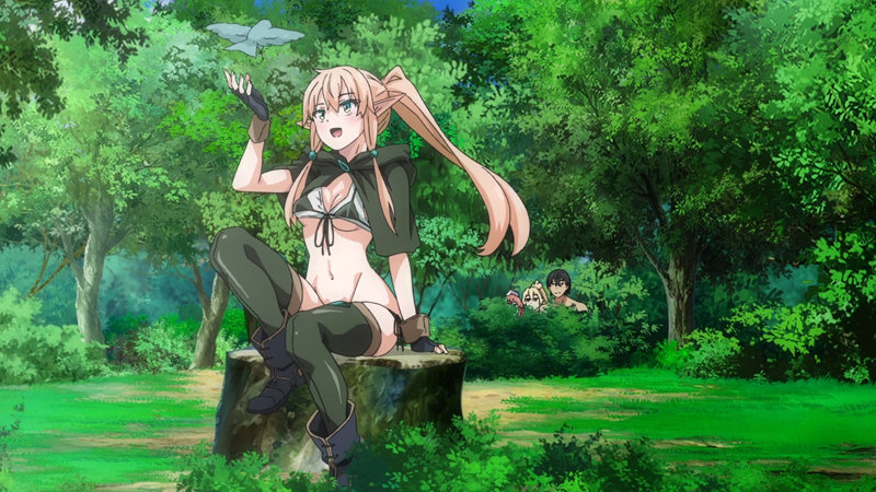 異世界来たのでスケベスキルで全力謳歌しようと思う THE ANIMATION 第2巻 画像1