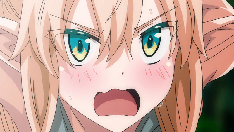異世界来たのでスケベスキルで全力謳歌しようと思う THE ANIMATION 第2巻 画像3