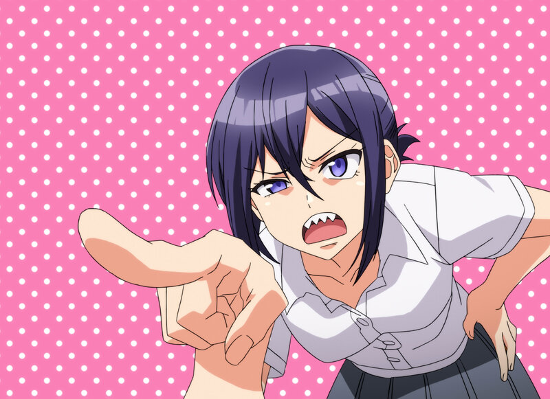 雌吹 THE ANIMATION 第1巻 画像1