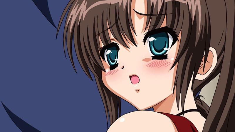 あい☆きゃん 上巻 「そんなこと……したくありませんっ」 画像2