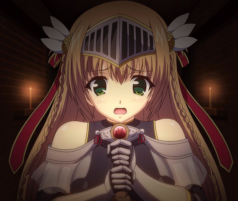 魔剣の姫はエロエロです ~ツンデレ姫騎士のお漏らし緊縛躾け◆~ 画像1