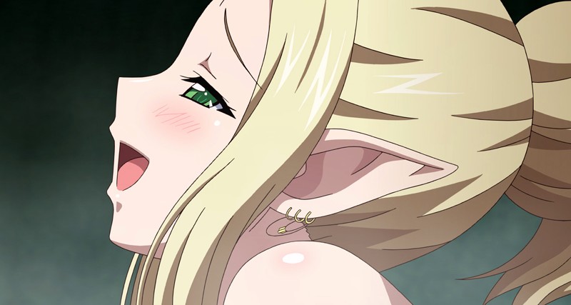 黒獣~気高き聖女は白濁に染まる~ 驚愕の陰惨劇 清楚可憐な幼き姫が虜になったのは、黒光りした生殖器 編 画像14