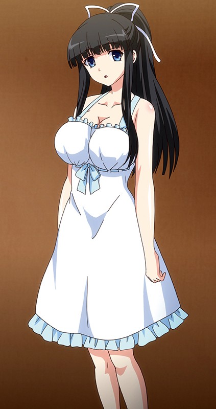 自宅警備員 ターゲット:さやか ~本性暴露!巨乳優等生の化けの皮を剥がせ~ 画像1