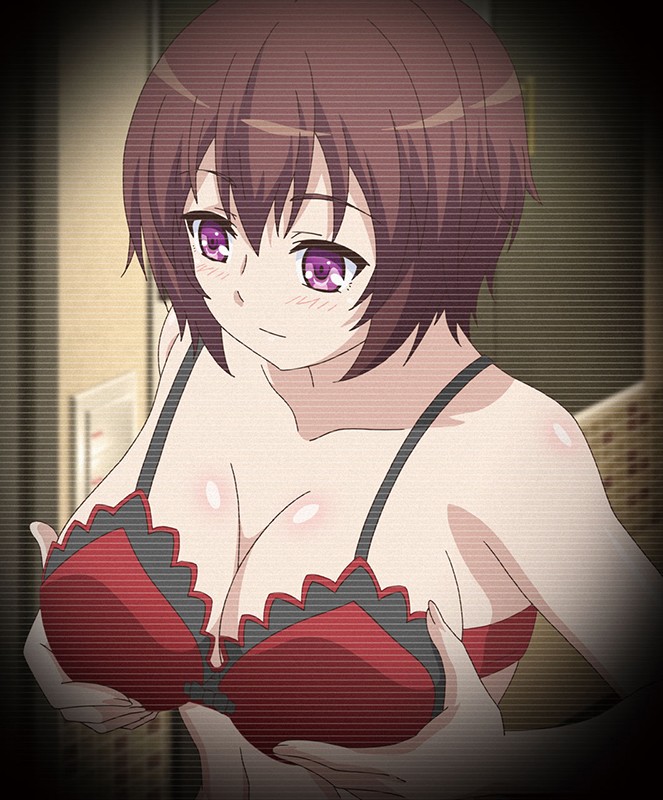 自宅警備員2 第一話 巨乳エリート従兄妹・玲奈 ~奪われる純潔~ 画像7