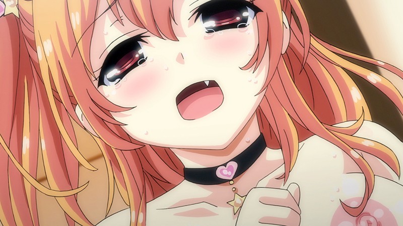 妹ぱらだいす!3 The Animation 上巻 画像4
